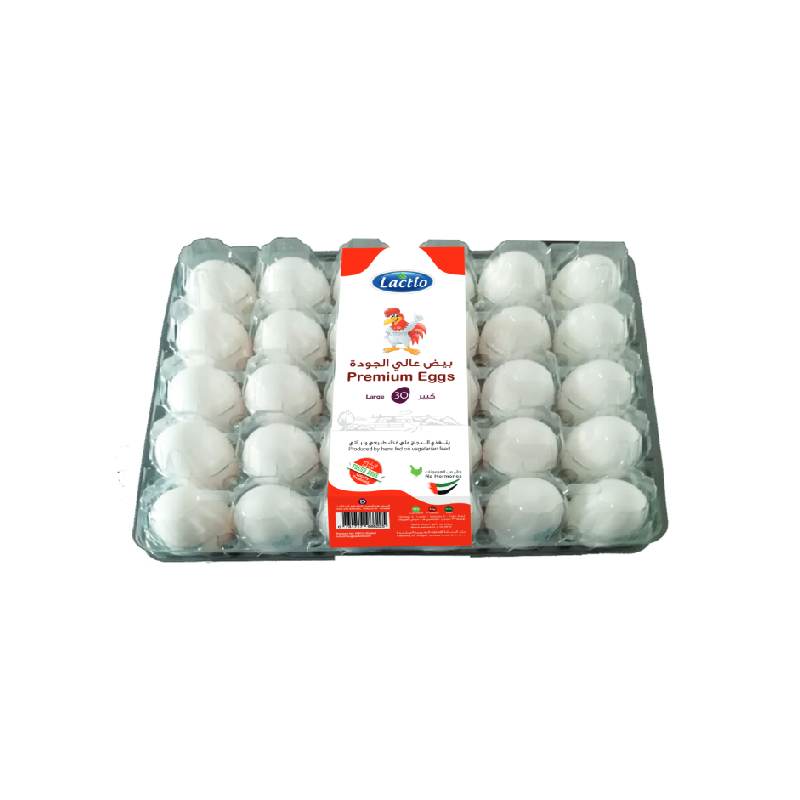 Lactio Premium Eggs Large 30 Pcs