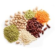 Pulses & Lentils