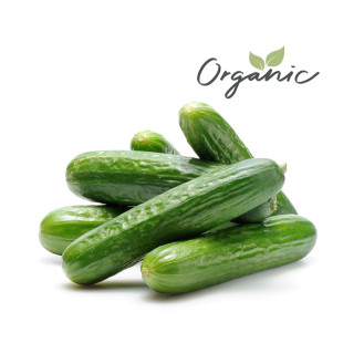 Organic Snack cucumber UAE 250g