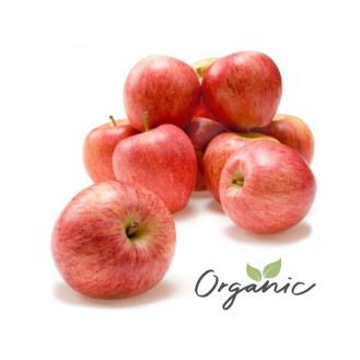 Organic Apple Gala Italy 500g