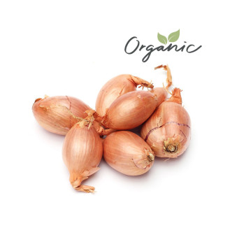 Organic Shallot India 250g