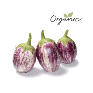 Organic Eggplant Pink UAE 500g