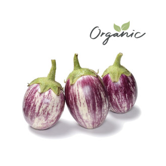 Organic Eggplant Pink UAE 500g