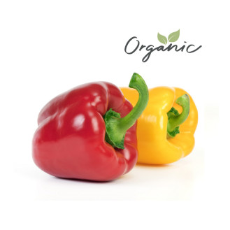 Organic Capsicum Mix India 500g