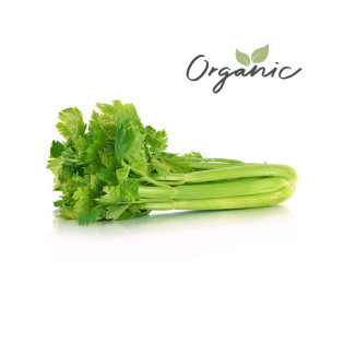 Organic Celery NL 500g