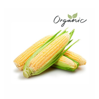 Organic Sweet Corn UAE 500g