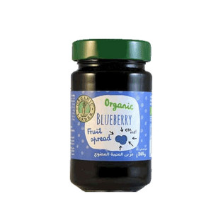 OC Blueberry Jam 265g